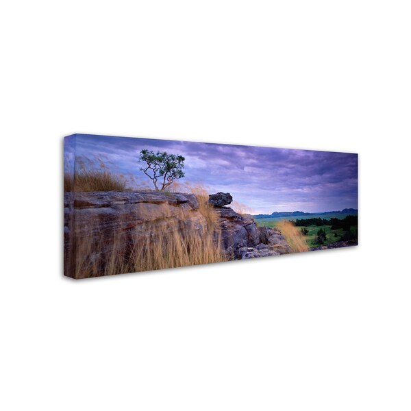 David Evans 'Ubirr-Kakadu' Canvas Art,6x19